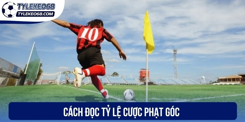 Cách đọc tỷ lệ cược phạt góc