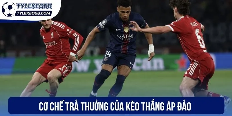 Kèo Thắng Áp Đảo - Phân Tích Chuyên Sâu, Chốt Ngay Kèo Ngon 2 Cơ chế trả thưởng của kèo thắng áp đảo