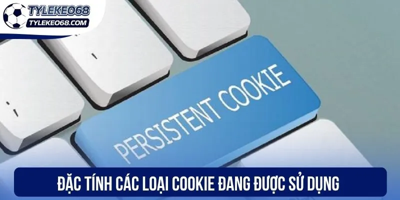 Cookie - Những Lợi Ích Và Cách Thức Hoạt Động Của Công Nghệ 2 Đặc tính các loại cookie đang được sử dụng