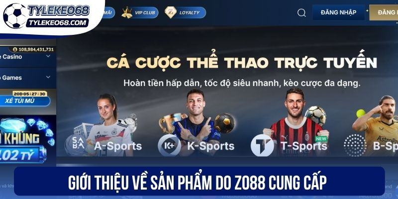 Giới thiệu về sản phẩm do Zo88 cung cấp