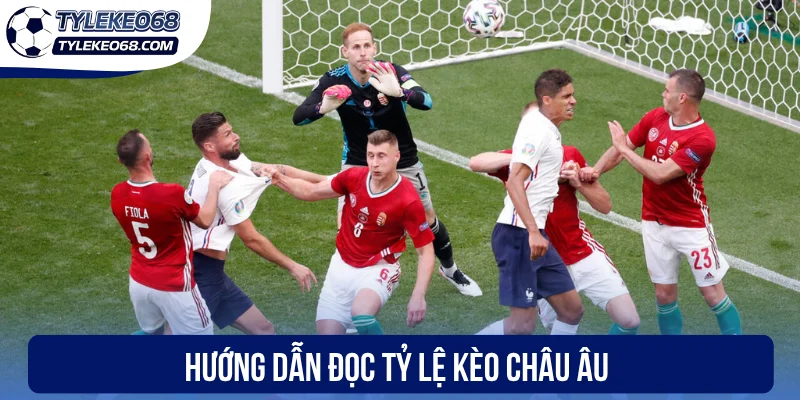 Kèo Châu Âu - Cược 1X2 Với Xác Suất Chiến Thắng Cao 2 Hướng dẫn đọc tỷ lệ kèo châu Âu