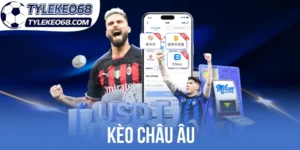 Top các tip cược khi lựa chọn kèo 1X2 
