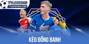 Cẩm Nang Soi Kèo