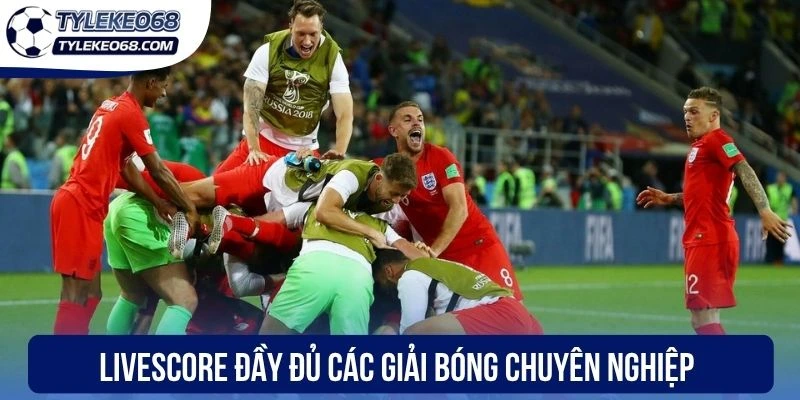 Live score đầy đủ các giải bóng chuyên nghiệp