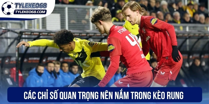 Chuyển đến nội dung chínhChuyển đến thanh công cụ
Giới thiệu về WordPress
Tỷ lệ kèo 68
00 bình luận cần kiểm duyệt
Tạo mới
Rank Math SEO
Xin chào, Anh Tuấn
Tùy chọn màn hìnhHỗ trợ
Thêm Bài Viết
Dismiss this notice

Bỏ qua thông báo này
Thông báo SEO: post đã xuất bản trước đó đã được chuyển vào thùng rác. Bạn có thể chuyển hướng https://www.ivaanapparels.in.net/nha-cai-uy-tin/uk88-2/ đến một URL mới.

Bỏ qua thông báo này
Thêm tiêu đề
Kèo Rung - Cách Nhận Diện Biến Động Tỷ Lệ Tại Nhà Cái
Bỏ qua để biên tập
Đường dẫn tĩnh: https://www.mma-insider.com/keo-rung/ ‎Chỉnh sửa
 Thêm MediaTrực quanMã
Đoạn 

p » i » span
Số từ: 1115	Bản nháp được lưu lúc 17:29:54.
Di chuyển lênDi chuyển xuốngChuyển đổi bảng điều khiển: Chọn Giải Đấu

-- Chọn giải đấu --
Di chuyển lênDi chuyển xuốngChuyển đổi bảng điều khiển: Xuất bản
Xem trước(mở trong cửa sổ mới)
 Trạng thái: Bản nháp Chỉnh sửaChỉnh sửa trạng thái
 Hiển thị: Công khai Chỉnh sửaChỉnh sửa độ rõ nét
 Xuất bản ngay lập tức Chỉnh sửaChỉnh sửa ngày tháng và thời gian

Lock Modified Date
SEO: 83 / 100
Bỏ vào thùng rác 
Di chuyển lênDi chuyển xuốngChuyển đổi bảng điều khiển: Danh mục
Tất cả danh mục Dùng nhiều nhất
 Cẩm Nang Soi Kèo
 Top Nhà Cái
 Uncategorized
+ Thêm Danh Mục
Di chuyển lênDi chuyển xuốngChuyển đổi bảng điều khiển: Ảnh đại diện
Đặt ảnh đại diện

Di chuyển lênDi chuyển xuốngChuyển đổi bảng điều khiển: Content AI
Di chuyển lênDi chuyển xuốngChuyển đổi bảng điều khiển: Thẻ
Di chuyển lênDi chuyển xuốngChuyển đổi bảng điều khiển: Đề xuất Liên kết
Chúng tôi không thể hiển thị bất kỳ đề xuất liên kết nào cho bài viết này. Hãy thử chọn danh mục và thẻ cho bài viết này và đánh dấu các bài viết khác là nội dung cốt lõi để chúng hiển thị ở đây.
Di chuyển lênDi chuyển xuốngChuyển đổi bảng điều khiển: Rank Math SEO
Tổng quan
Nâng cao
Schema
Mạng xã hội
https://www.mma-insider.com/keo-rung/
Kèo Rung - Cách Nhận Diện Biến Động Tỷ Lệ Tại Nhà Cái -...
Kèo rung đòi hỏi kỹ năng đọc bảng kèo nhạy bén từ anh em giúp xác định thời điểm vàng vào tiền hợp nhằm tăng tỷ lệ chiến thắng khi cá cược.
Chỉnh sửa đoạn trích
Từ khóa chínhChèn các từ khóa bạn muốn xếp hạng. Cố gắng đạt 100/100 điểm để có cơ hội xếp hạng tốt hơn.

83 / 100
Lưu ý cảnh báo
Đọc ở đây để Đạt điểm 100/100

Bài viết này là nội dung cốt lõi

SEO cơ bản
Tất cả đều tốt
Tuyệt vời! Bạn đang sử dụng từ khoá chính trong Tiêu đề SEO.
Đã sử dụng từ khoá chính trong Mô tả Meta SEO.
Từ khóa chính đã được sử dụng trong URL.
Từ khoá chính xuất hiện trong 10% nội dung đầu tiên.
Đã tìm thấy từ khoá chính trong nội dung.
Nội dung dài 1126 từ. Làm tốt lắm!

Bổ sung
2 Lỗi

Khả năng đọc tiêu đề
Tất cả đều tốt

Khả năng đọc nội dung
1 Lỗi
Di chuyển lênDi chuyển xuốngChuyển đổi bảng điều khiển: Insert Script to <head>
Di chuyển lênDi chuyển xuốngChuyển đổi bảng điều khiển: Nhập video youtube
Link video:

Cảm ơn bạn đã sử dụng Rank MathPhiên bản 6.9.4
Thông báoLink inserted. 
Không tìm thấy kết quả.
Đóng hộp thoại
Thêm tệp media
Hành động
Tải lên tệp mớiChọn từ thư viện Media
Mở rộng chi tiết
Lọc mediaLọc theo loại
Tất cả
Lọc theo ngày
Tất cả các ngày
Tìm tệp media
Danh sách media
Đang hiển thị 84 của 2494 file media

Tải thêm
Chi tiết tệp đính kèm

cac-chi-so-quan-trong-nen-nam-trong-keo-rung.webp
2 Tháng 5, 2026
107 KB
800 dài và rộng 400 pixel
Sửa ảnh
Xóa vĩnh viễn

WP Rocket recommends you to optimize your images for even better website performance.

Install Imagify Plugin
Văn bản thay thế
Tạo văn bản thay thế
Xem cách mô tả nội dung ảnh(mở trong cửa sổ mới). Để trống nếu ảnh chỉ dùng làm hiệu ứng trang trí.Tiêu đề
cac-chi-so-quan-trong-nen-nam-trong-keo-rung
Chú thích
Mô tả
Liên kết của tệp tin:
https://www.mma-insider.com/wp-content/uploads/2026/05/cac-chi-so-quan-trong-nen-nam-trong-keo-rung.webp
Sao chép liên kết
Các trường bắt buộc được đánh dấu *

 Loại trừ tệp đính kèm này khỏi sơ đồ trang web
Tùy chọn hiển thị nội dung đính kèm
Căn chỉnh
Chính giữa
Liên kết tới
Không có
Kích thước
Kích thước đầy đủ – 800 × 400
Hành động cho các media đã được chọn
đã chọn 1 item
Xóa 
Chèn vào bài viết
Không có tệp nào được chọn