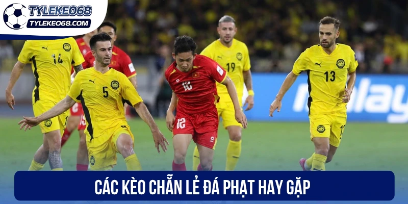 Kèo Chẵn Lẻ Đá Phạt - Đầu Tư Chuẩn, Tăng Tỷ Lệ Thắng Cược 3 Các kèo chẵn lẻ đá phạt hay gặp