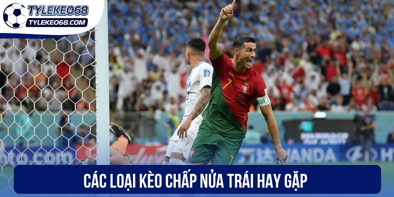 Kèo Chấp Nửa Trái - Lựa Chọn Đơn Giản, Chiến Thắng Rõ Ràng 2 Các loại kèo chấp nửa trái hay gặp