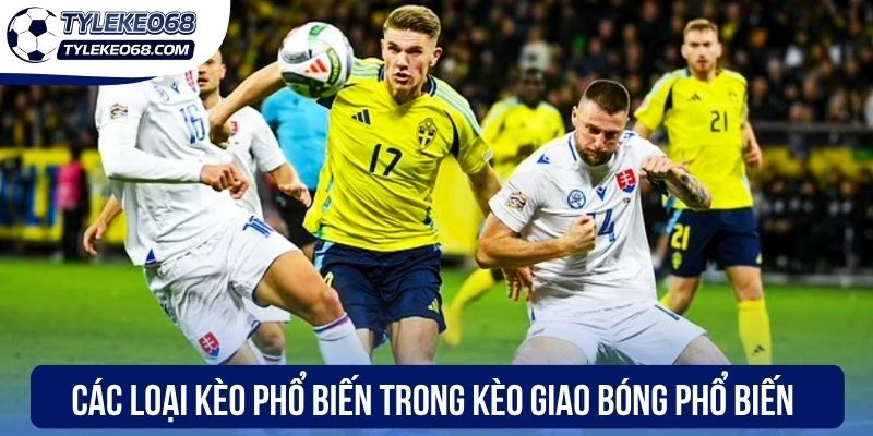 Kèo Giao Bóng Trước - Hình Thức Cá Cược Dễ Chơi Dễ Trúng 2 Các loại kèo phổ biến trong kèo giao bóng phổ biến