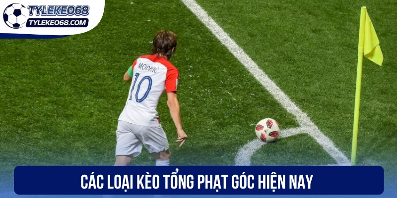 Kèo Tổng Phạt Góc - Bắt Nhịp Trận Đấu, Chốt Kèo Chính Xác 2 Các loại kèo tổng phạt góc hiện nay