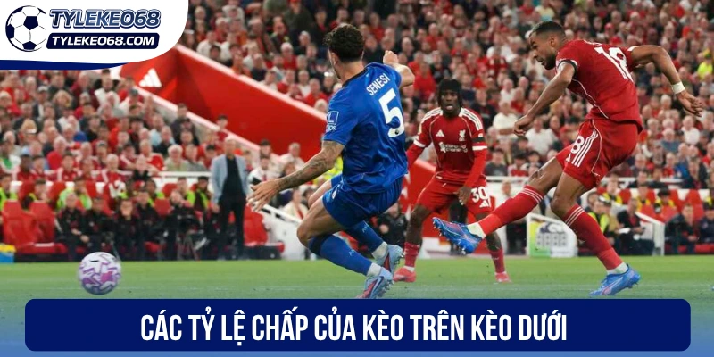 Kèo Trên Kèo Dưới - Định Nghĩa, Cách Tính Thắng Thua Chuẩn Nhất 2 Các tỷ lệ chấp của kèo trên kèo dưới