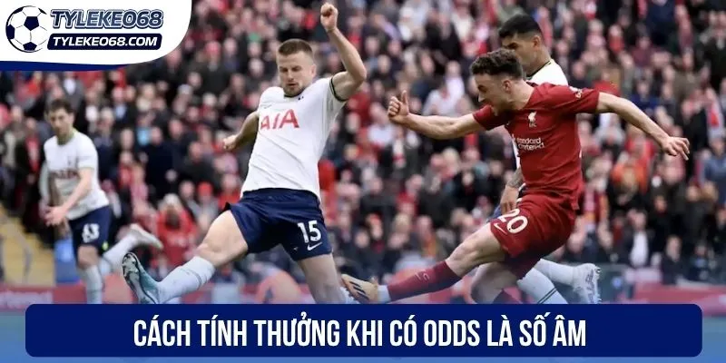 Tỷ Lệ Kèo Malaysia - Hiểu Đúng Bản Chất Và Cách Cược Thắng 2 Cách tính thưởng khi có odds là số âm
