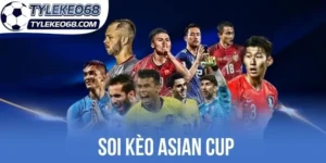 Tìm hiểu cách đọc biến động kèo cược Asian Cup