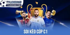 Tổng hợp đặc trưng phổ biến ở tỷ lệ cúp C1
