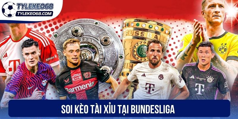 Soi Kèo Bundesliga - Phân Tích Chuyên Sâu Từng Góc Giải Đấu 2 Soi kèo Tài xỉu tại Bundesliga