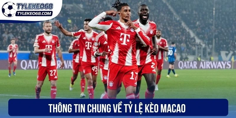 Tỷ Lệ Kèo Macao - Cập Nhật Kèo Thơm Cùng Ngàn Thưởng Lớn 1 Thông tin chung về tỷ lệ kèo Macao