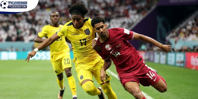 Tỷ Lệ Kèo Bosnia And Herzegovina VS Qatar - Bảng B World Cup 02h00 25/06/2026 5 Dự đoán bảng kèo trận Bosnia and Herzegovina vs Qatar