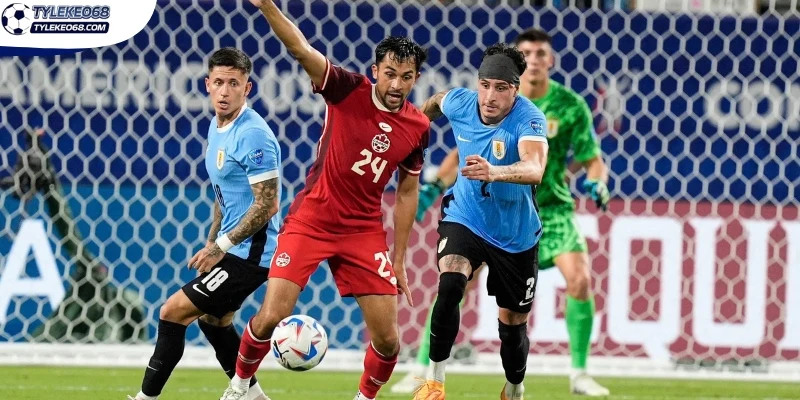 Sơ đồ dự kiến ra sân của hai đội Thuỵ Sĩ vs Canada